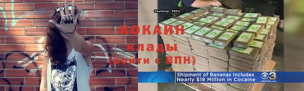 шишки Абинск