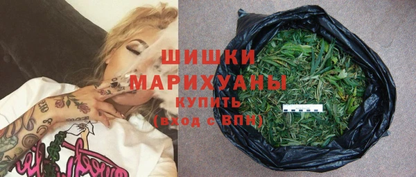 гашик Осташков