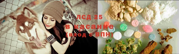 шишки Остров
